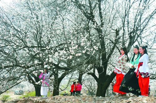 太阳成集团tyc9728